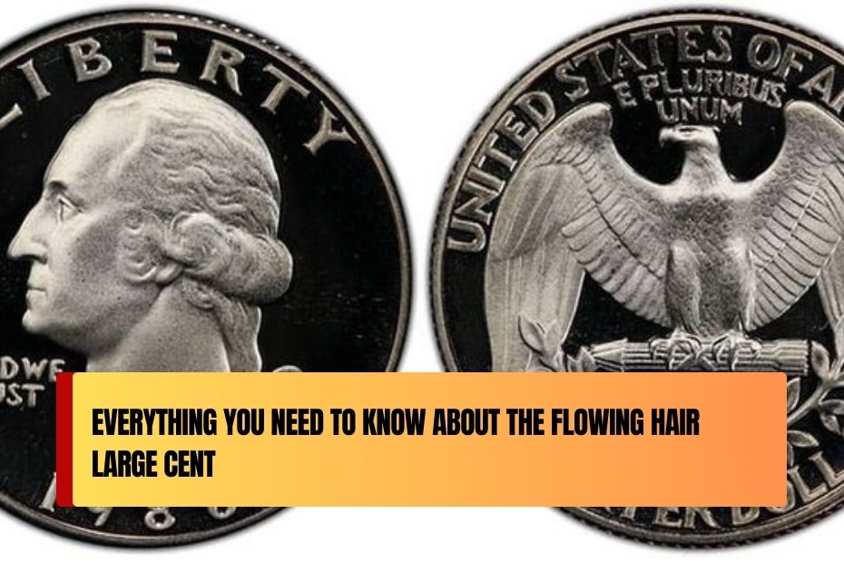 Everything You Need to Know About the Flowing Hair Large Cent