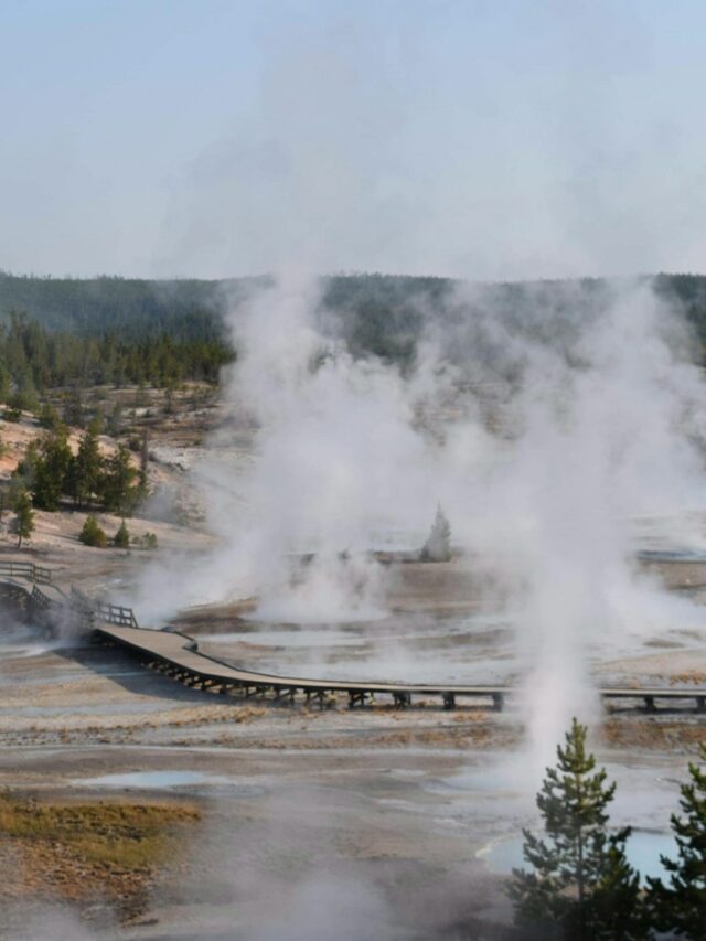 Affordable Adventure Awaits in Yellowstone: Nature and Wildlife for Under $150