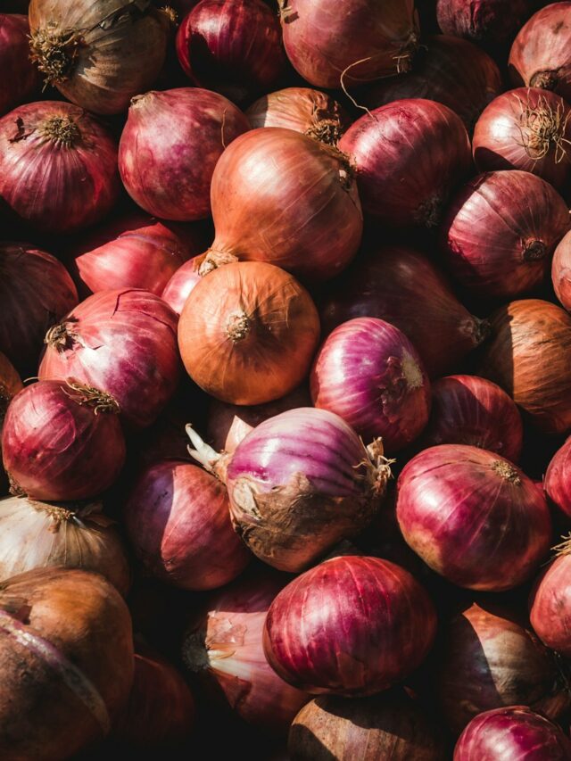 How to Store Onions the Right Way