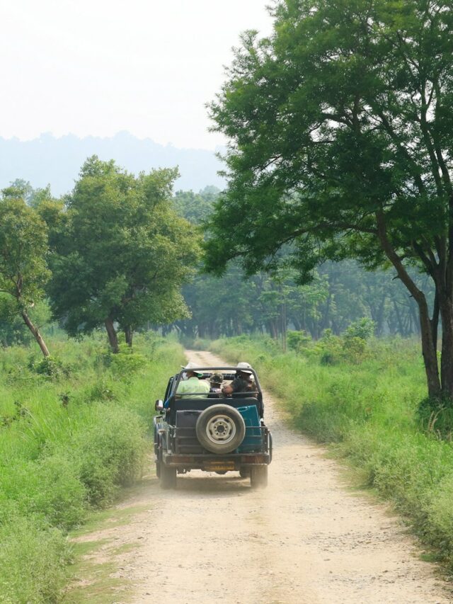 Explore the Wilderness of Jim Corbett National Park for Less Than ₹6000