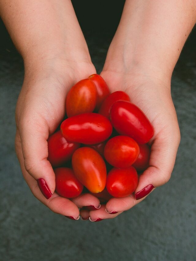 Truco para conservar los tomates por más tiempo