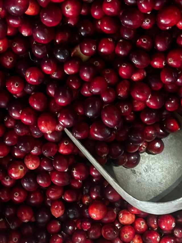 How to Eat Cranberries—a Juicy, Tart Superfood With So Many Delicious Uses