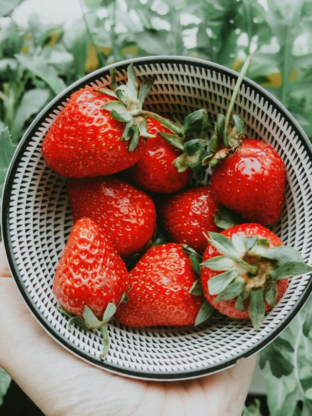 Consejos para conservar las fresas por más tiempo