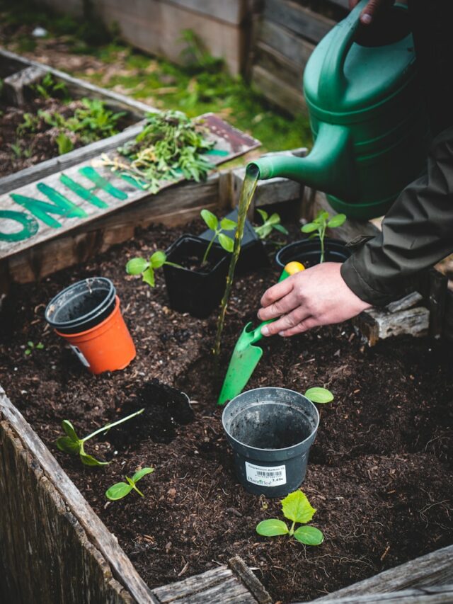 8 Common Gardening Techniques Every Gardner Should Know