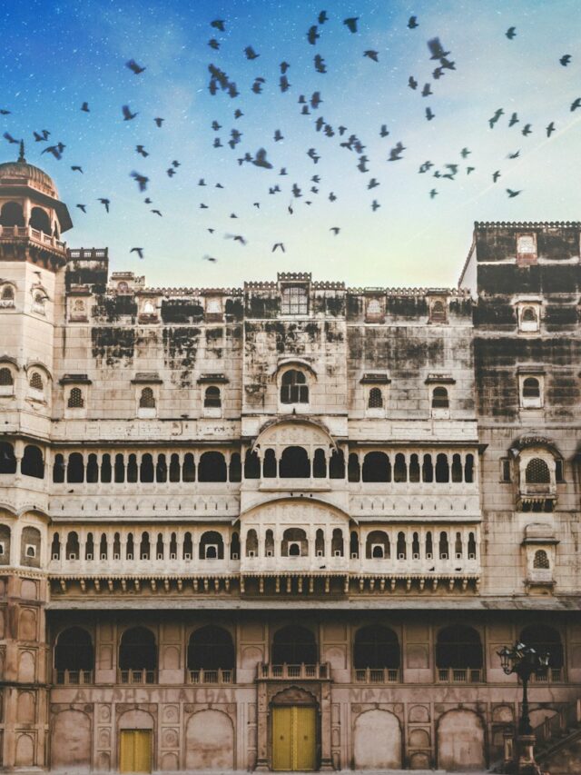 Discover the Rich Culture of Bikaner: Temples and Forts for Less Than ₹4000